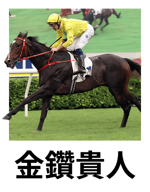 金鑽貴人