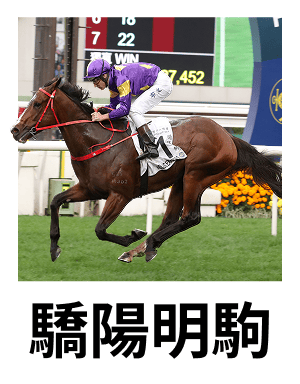 驕陽明駒
